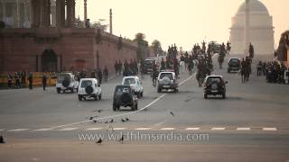 Crows Eat President Bodyguard Horse Poop After Closing Ceremony