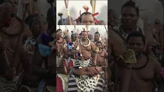 Eswatini Africas Last Absolute Monarchy #swaziland #eswatini #africa