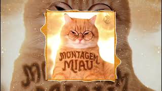 Montagem Miau - Slowed