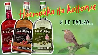 Коноплянка. Настойки Медовая с перцем, на Семенах Конопли и Клюкве