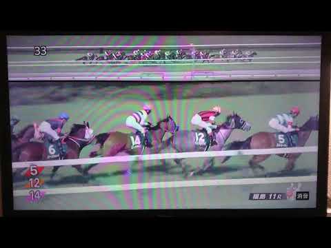 2023/04/22福島11R 第20回福島牝馬S(G3)