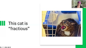 Cracking the Cat Code: Recognizing Feline Signals for Better Care - MMBC April 2025