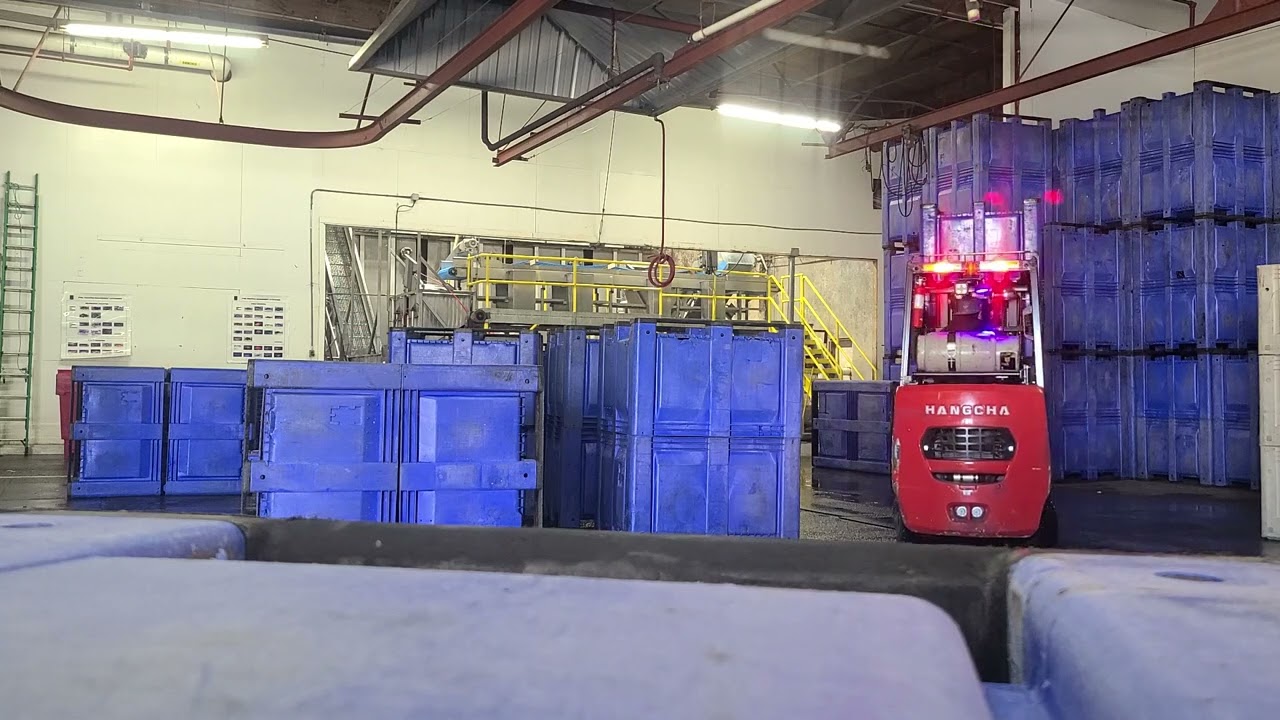 Cannery work  driving forklift