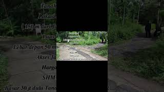 Jual Tanah Sentolo 2Mukal Luas 778M Lebar Depan 50M Sama 20M Harga 300Jt