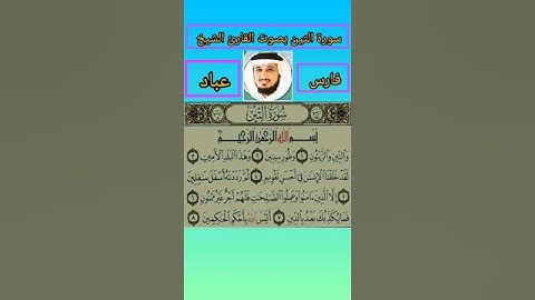سورة التين بصوت القارئ الشيخ فارس عباد