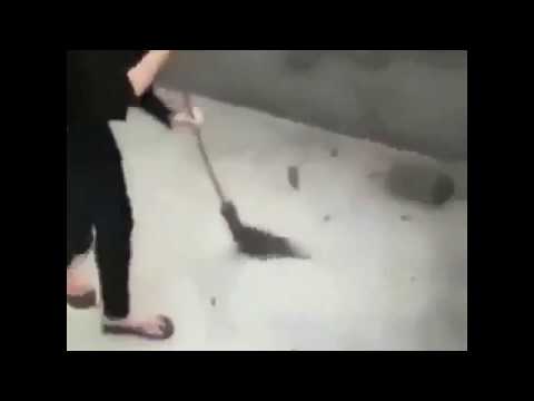 Girl vs Rat | girl trying to escape from the rat funny moment