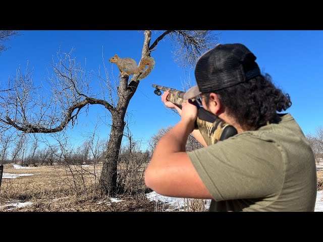 Urban Backyard Squirrel Hunting! (CATCH CLEAN COOK) class=