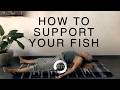 Supported Fish Pose for Posture & Deep Breathing | 15 Min Yin Yoga Chest Opener