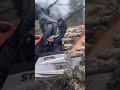 Stihl MS462🎥 folgt für mehr! [unbezahlte Werbung] #chainsaw #chainsawman #stihl #wood #forstwirt