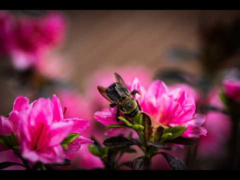 Test Video - Vlog 8