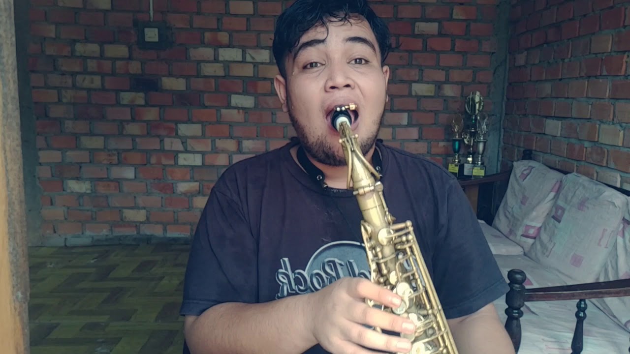 Rod Stewart I Don't Want to Talk About It (cover alto saxophone