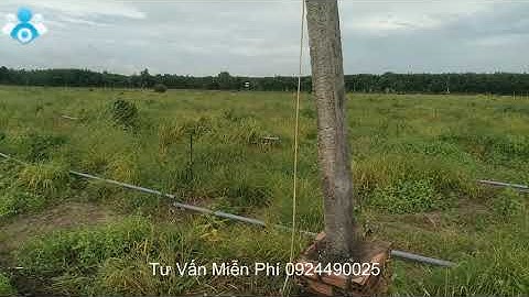 Lắp Đặt Hệ Thống Tưới Thông Minh 3 trong 1 (Phân,Thuốc,Nước) Cho Trang Trại 15 ha ở Bà Rịa Vũng Tàu