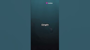 Ever Wondered How Submarines Dive Deep Into the Ocean