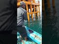 #virall#Mancing Spot kilang minyak tompel # baramundi#delegan#