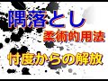 合気柔術チャンネル 合気道家のための目からウロコの合気柔術#14 隅落とし(柔術的用法) aiki makoto okamoto