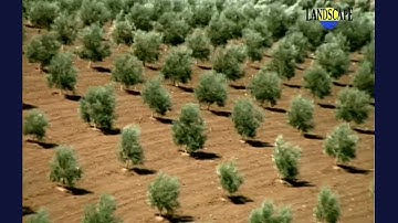 Art of Landscape - 02