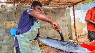 தூத்துக்குடியில் வேகமாக மீன்கள் வெட்டுவாங்க