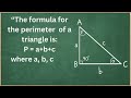 🤯💯 find the perimeter of a triangle. #shorts #perimeteroftriangle #perimeter #triangle #maths