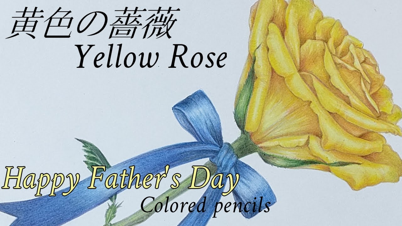 絵　バラ 薔薇】#38 【色鉛筆】父の日 黄色いバラを描く | Drawing yellow rose