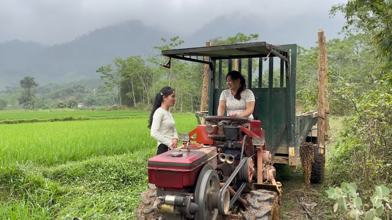 Rescued Colleagues Vehicle Stuck in Mud and Agricultural Vehicle Transporting Wood_Abenteuer Vietnam
