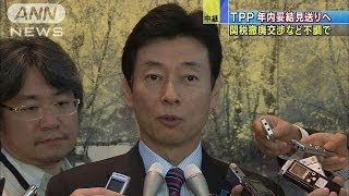 TPP年内妥結は困難に・・・「農産品5項目」で日米譲らず(13/12/10)