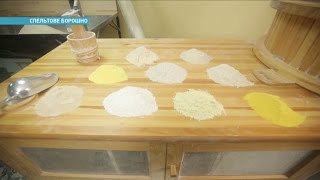 Где найти булки, от которых не толстеют? | Ранок з Україною Где найти булки, от которых не толстеют? | Ранок з Україною