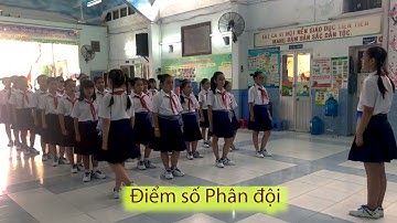 Điểm số, báo cáo - Điểm số phân đội