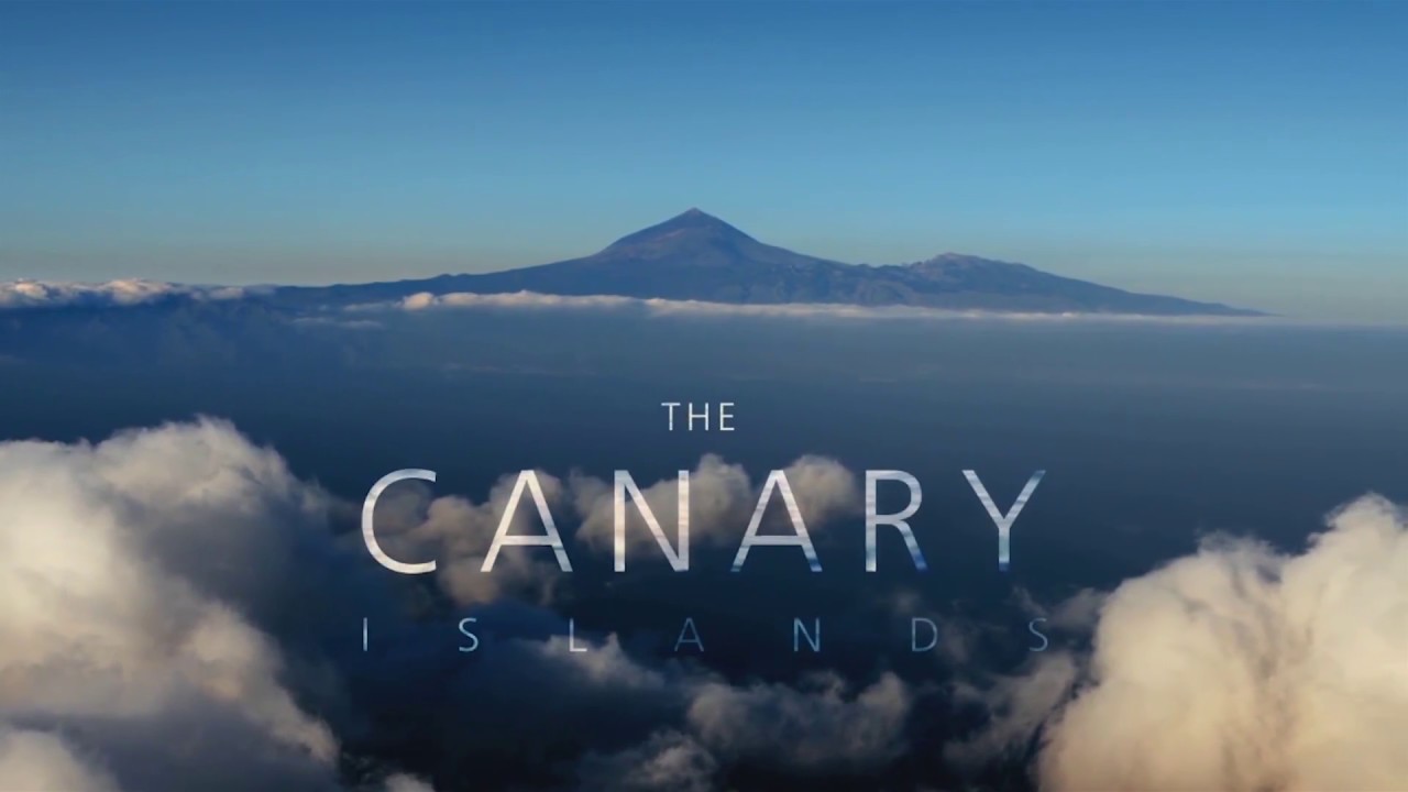 SERIES - INTERNATIONAL