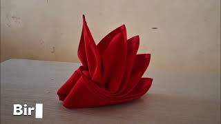 Group 1 Napkin Folding Assignment