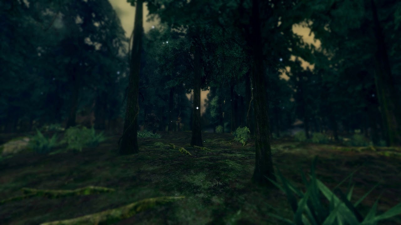 Dark Souls │ ASMR / Sleep Aid │ Royal Wood ambience