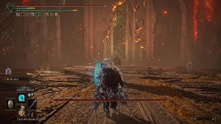 Elden Ring- Vs. Godfrey, First Elden Lord/Hoarah Loux-Royal Greatsword(NG1)