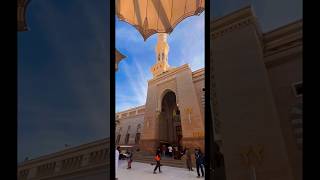 Download Lagu Maher Zain X Harris J – Qalbi Fil Madinah ❤️| Islamic Short | Emotional Nasheed MP3