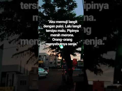 quotes-senja