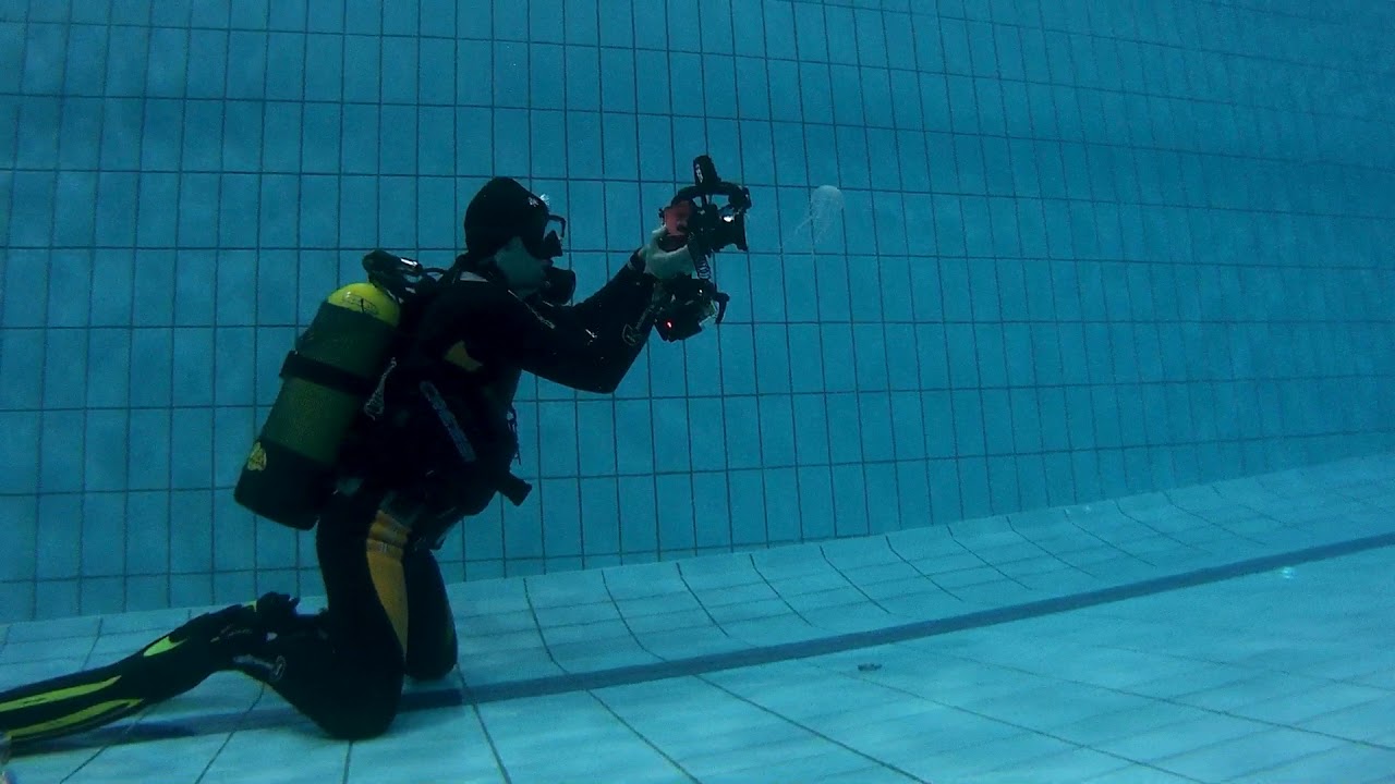 Workshop di fotografia