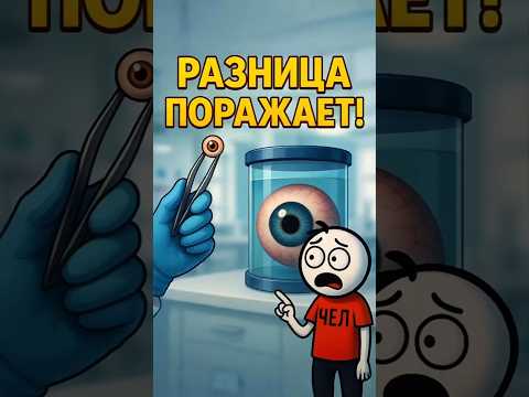 САМЫЙ БОЛЬШОЙ ГЛАЗ В МИРЕ! 🤯 #shorts