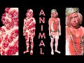 AnimalEvil Island
