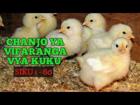 Video: Chanjo Ya Subinfection, Chanjo Ya Kinga Ya Kinga - Chanjo Mnyama Wako Kwa Wakati