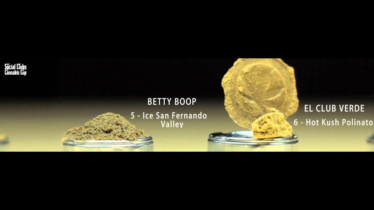 Social Clubs Cannabis Cup 2014 - Hash