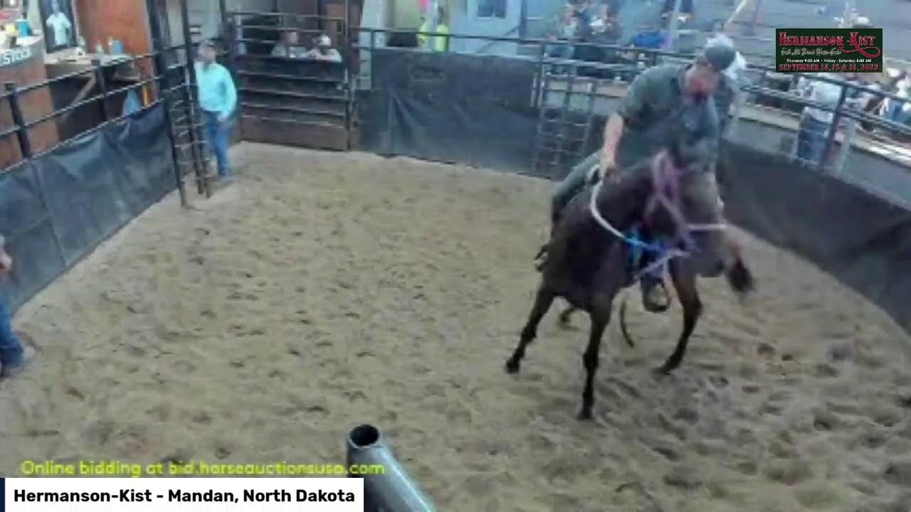 HermansonKist Fall Sale Mandan, North Dakota YouTube