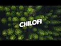 lofi chill music 🌲 lofi hip hop mix 🌲 chill out music to study, relax #6