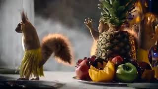 Новогодние белки ролик на первом канале 2017 Новогодние белки ролик на первом канале 2017