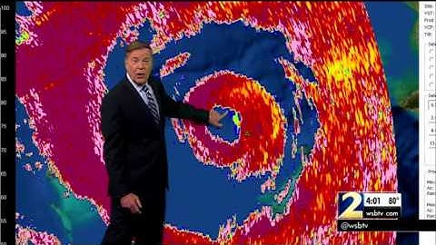 Birds trapped in the eye of Hurricane Matthew