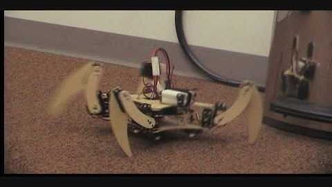 C.A.T. Initial Collision Avoidance Test #2