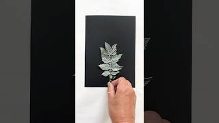 Meadow sweet on black Monoprint  #natureprints #monoprinting #botanicalprint #printmaking