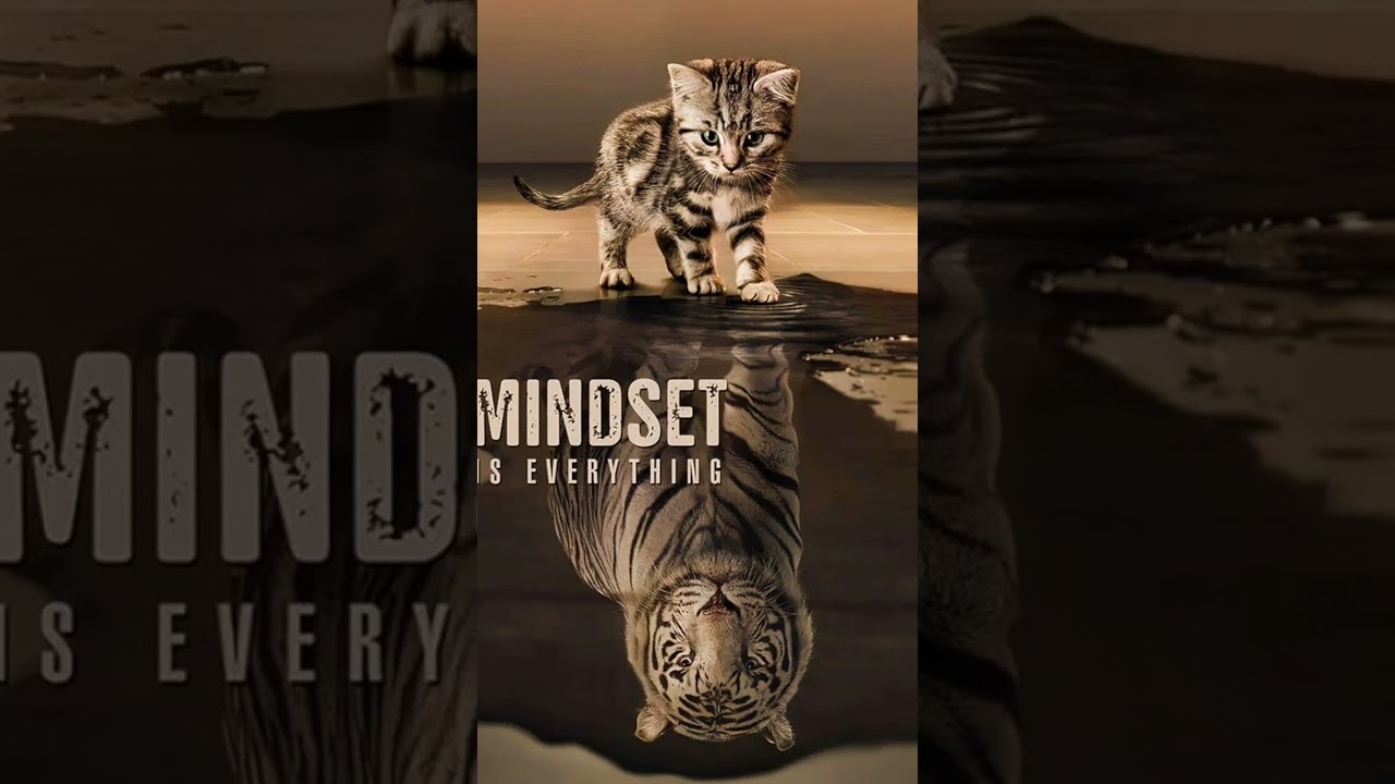 mindset is everything 