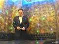 アリス/紫陽花【うたスキ動画】