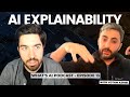 Demystifying Explainability AI with TensorLeap’s CTO Yotam Azriel - What&#39;s AI episode 13