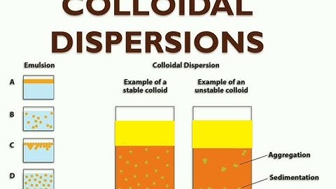 Science of colloidal processing
