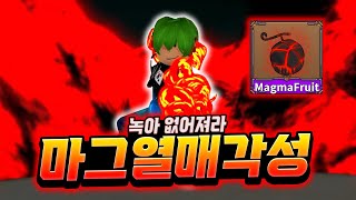 녹아 없어져라! 마그 각성! 이제 저의 최애의 열매가 될 수도 있습니다 ㅋㅋㅋㅋㅋㅋㅋ [로블록스 킹피스 #43]