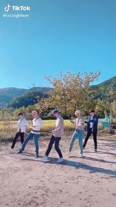 TXT Joining The Dolphin cult || Tiktok update